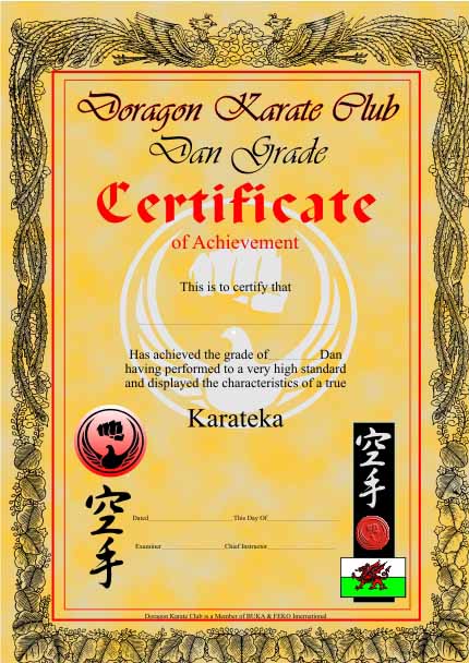 certificate martial arts