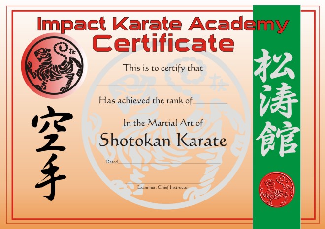 certificate martial arts